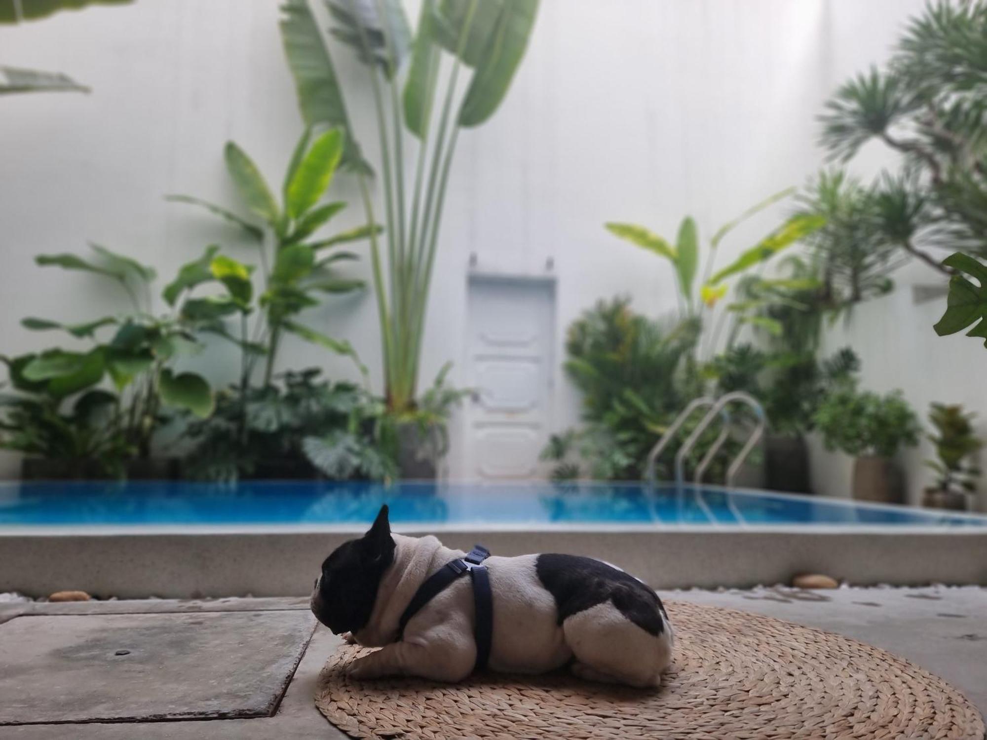 Lada'S House Da Nang Apartment ภายนอก รูปภาพ