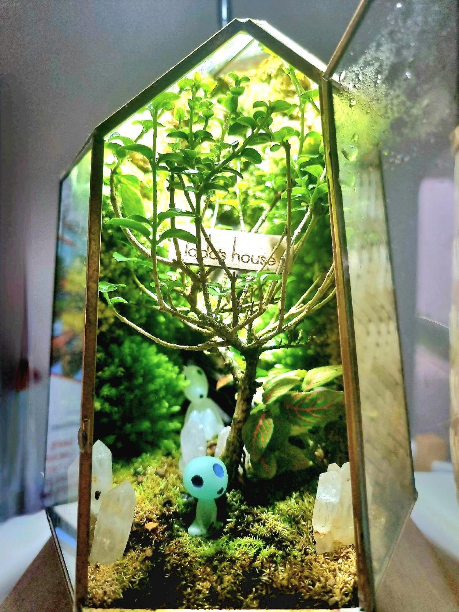 Lada'S House Da Nang Apartment ภายนอก รูปภาพ