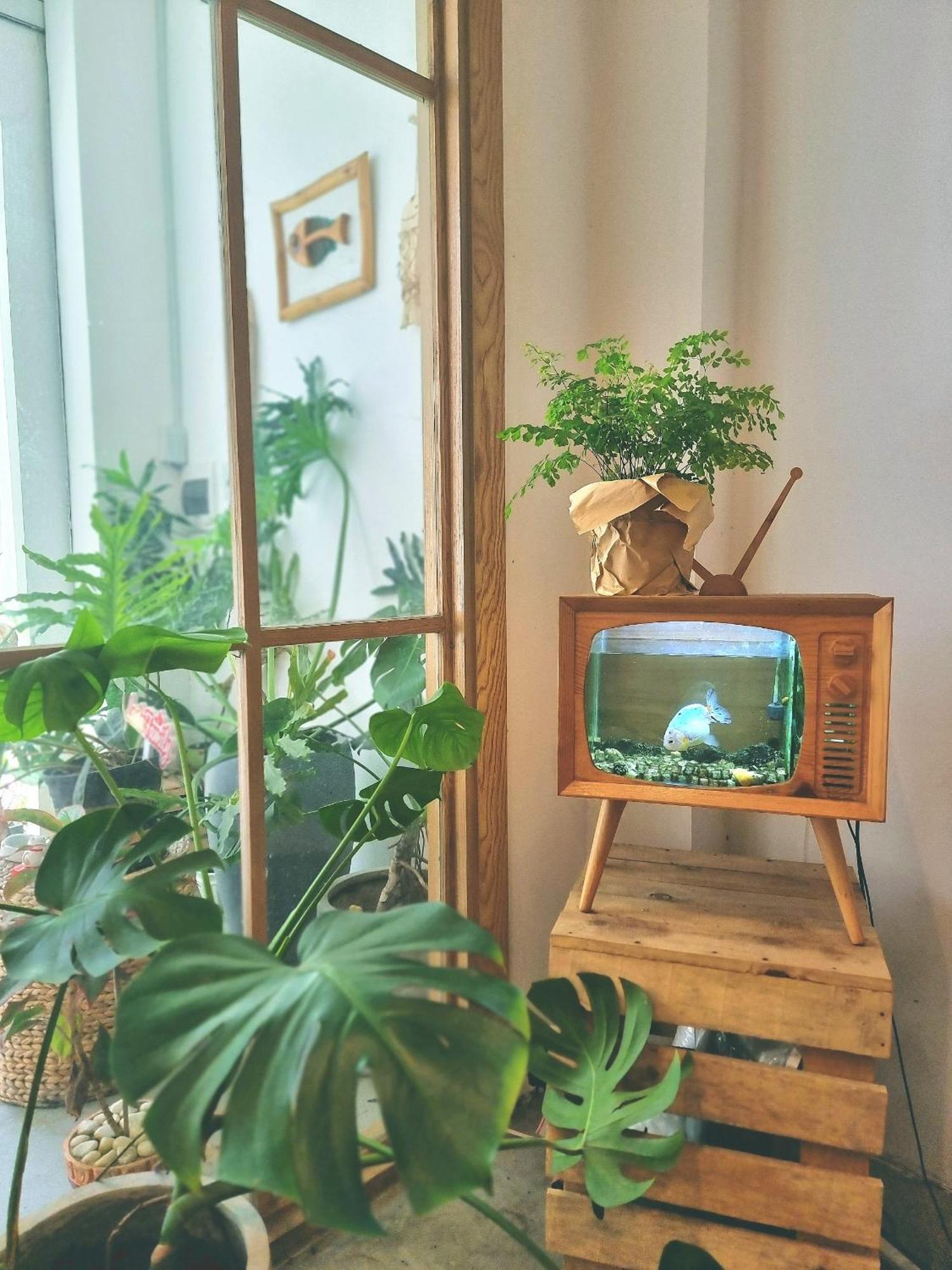 Lada'S House Da Nang Apartment ภายนอก รูปภาพ
